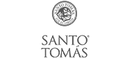 santo_tomas_logo_gris